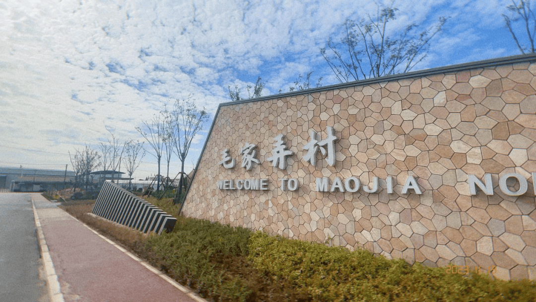 环境提升促产业提质增效,来看宝山毛家弄村民的幸福生活_乡村_村里_企业