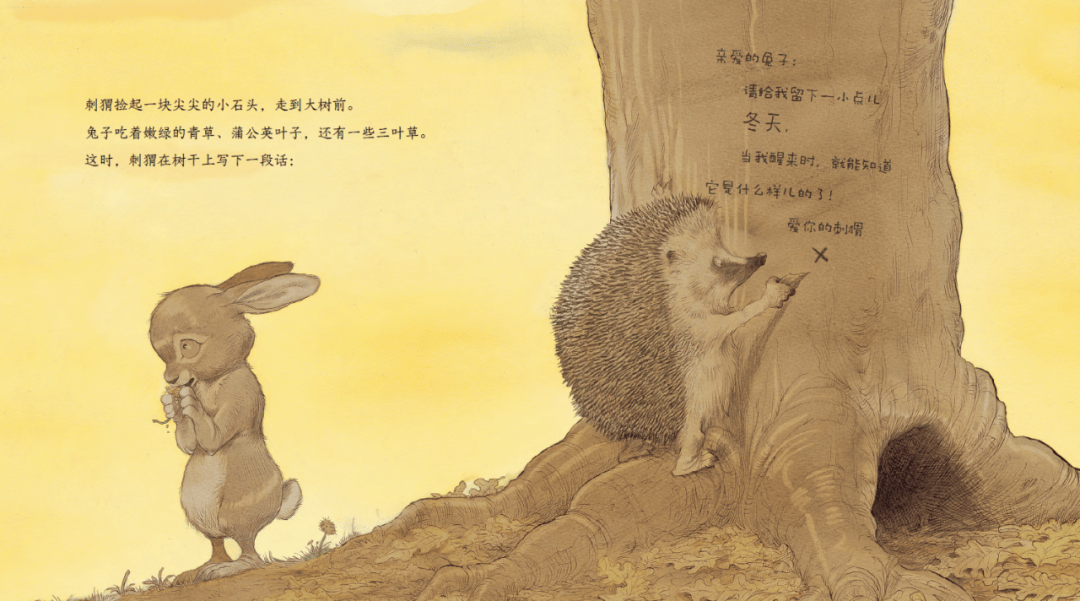 这套友谊绘本带给你不一样的体验!_刺猬_兔子_好朋友