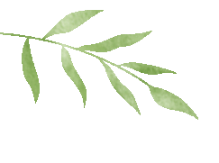 朗读者:张仁宣老师唐三彩的故事