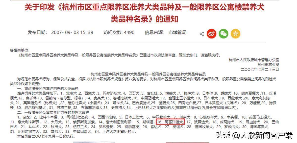 杭州女子在小区车库遇1米多高阿富汗猎犬，一家三口不敢下车