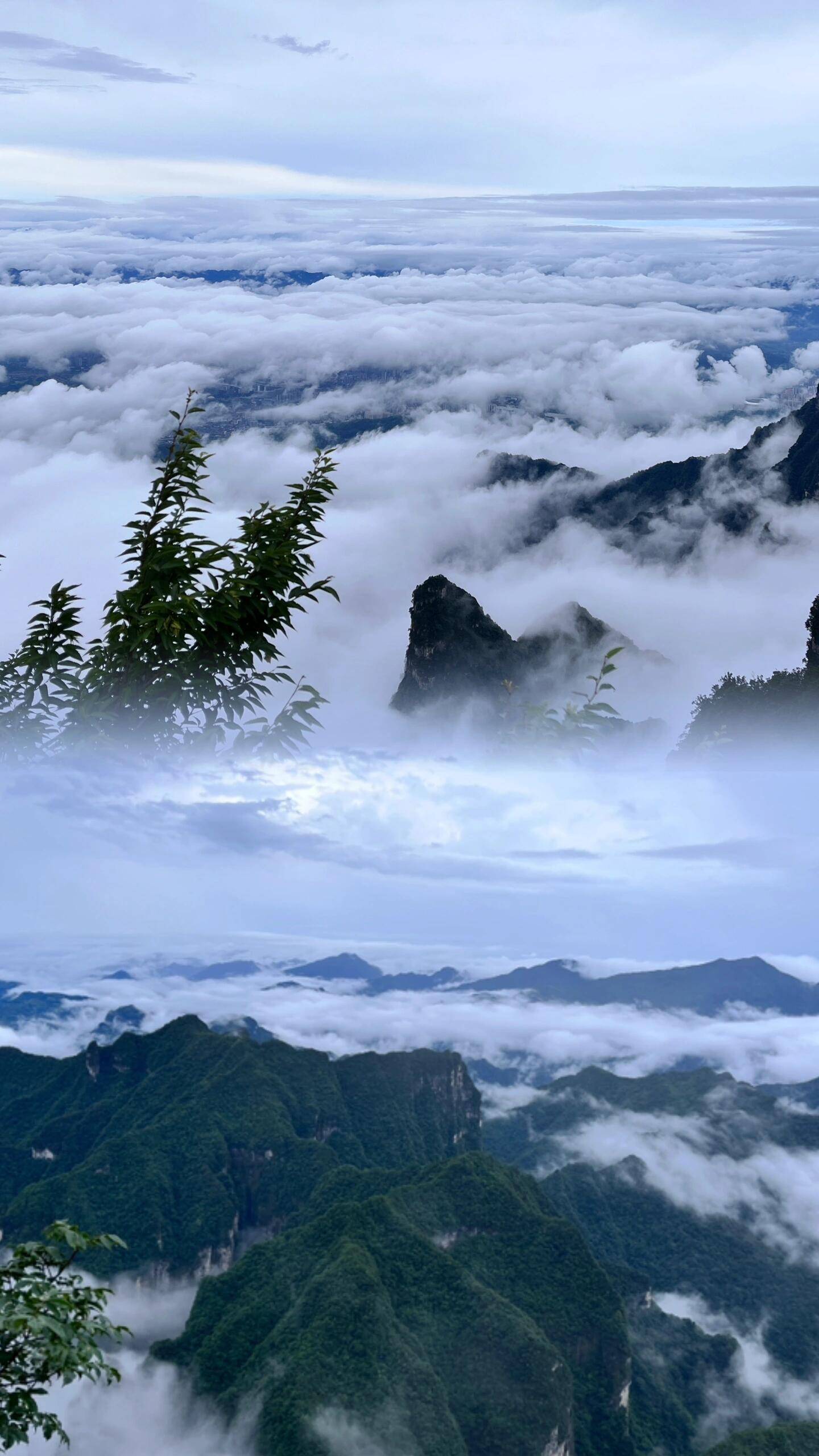 非常实用的,张家界旅游索道攻略图大全_导游_行程_服务