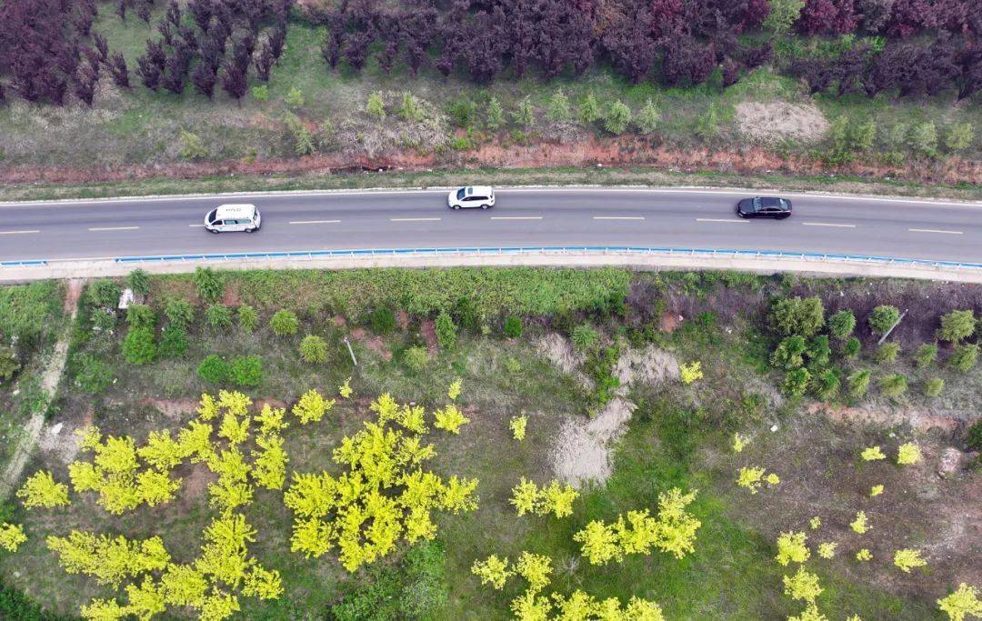 刘店镇:美丽公路引客来