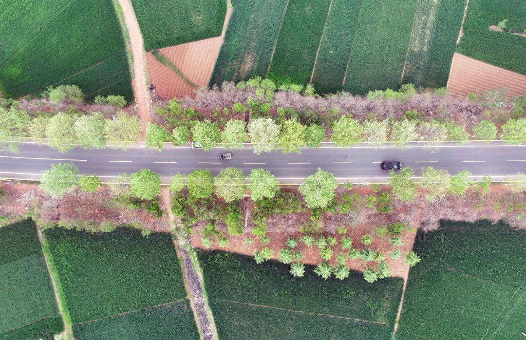 刘店镇:美丽公路引客来