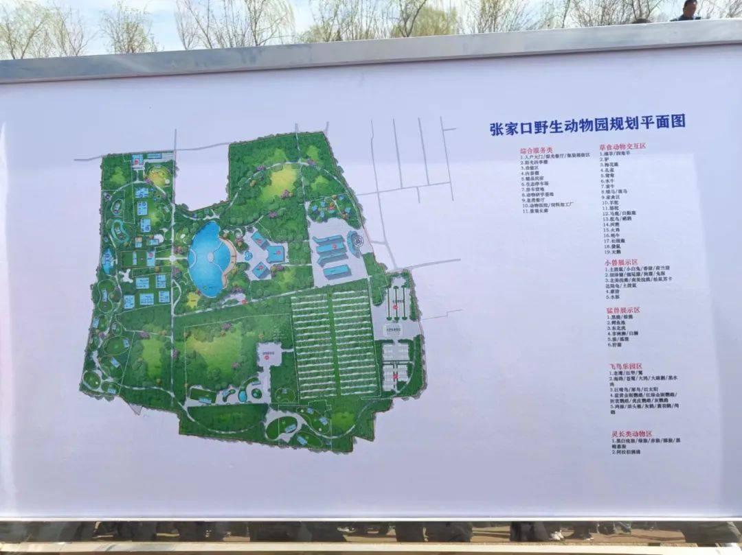 张家口要建野生动物园引进动物1500只具体位置在