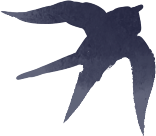 善于表演各类节目的金刚鹦鹉.曾业 摄"虽然价格诱人,但真是舍不得卖.