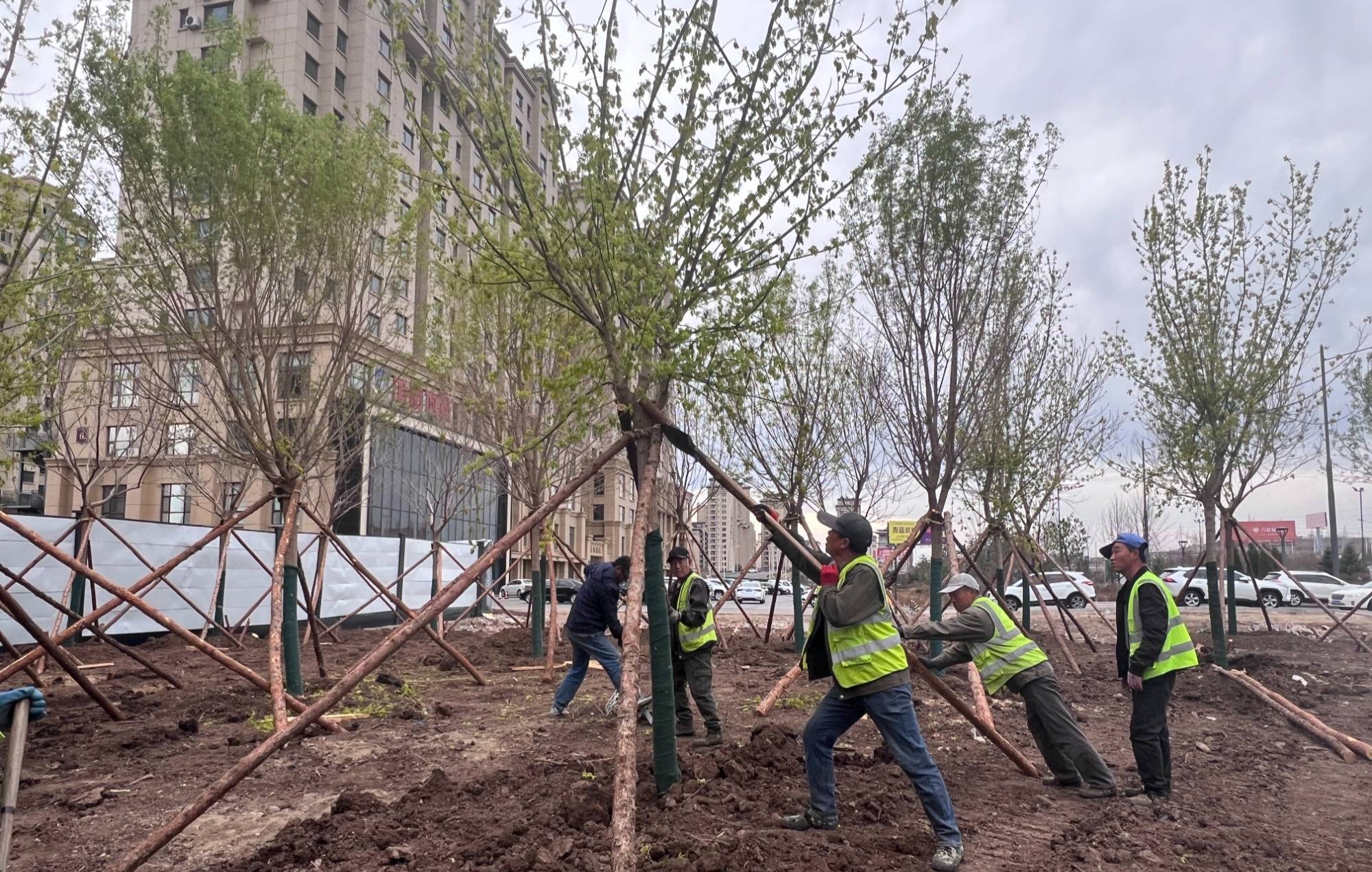 今年是实施"绿美延吉"行动的关键之年,作为"绿美延吉"的主战场,延吉市