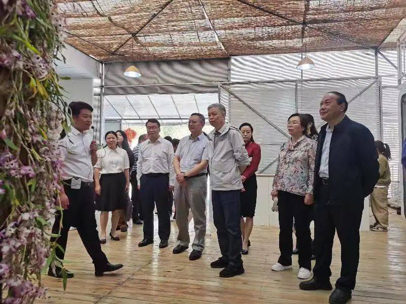 调研组一行先后到龙陵县石斛种质资源中心,云南品斛堂有限公司,石斛