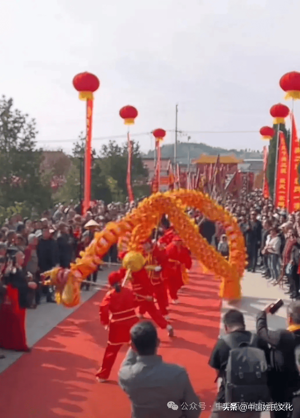 文化研究会裴姓委员会参加三月三裴氏故里祭祖大典_宗亲_后裔_柏村