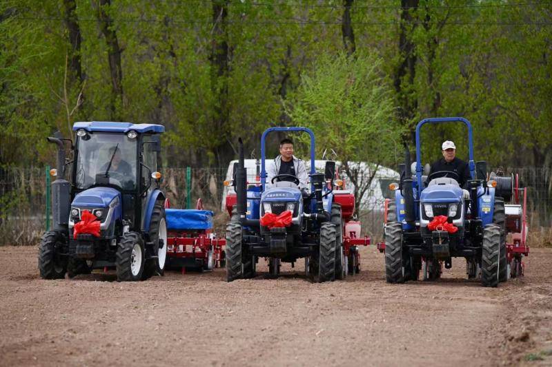 京郊最大鲜食玉米种植地延庆区旧县镇启动春耕播种_北京市_农产品_青