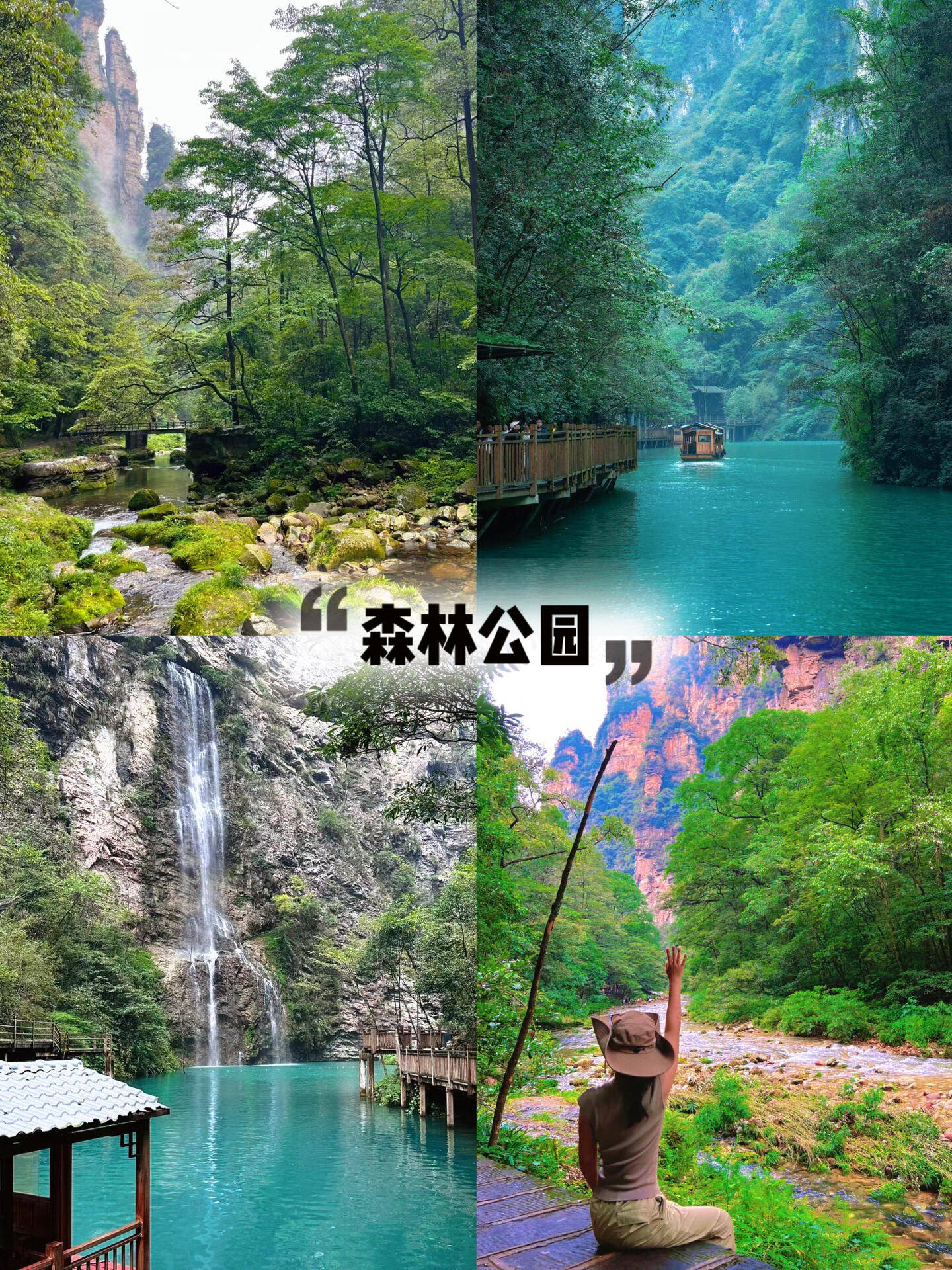 一旦决定好旅行社和行程,直接在官网或联系客服进行预订.