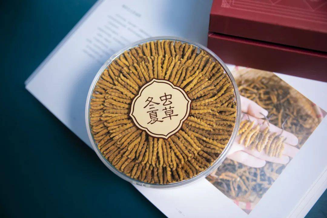 无套路全透明亚克力包装,让你开箱好验货,每根虫草满意再付款!