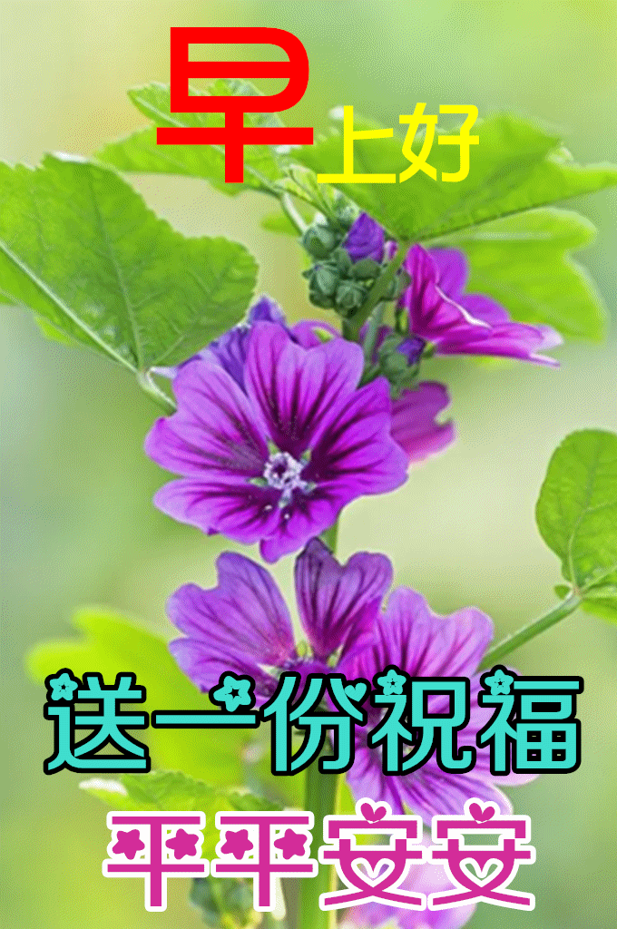 新的一天,早上好