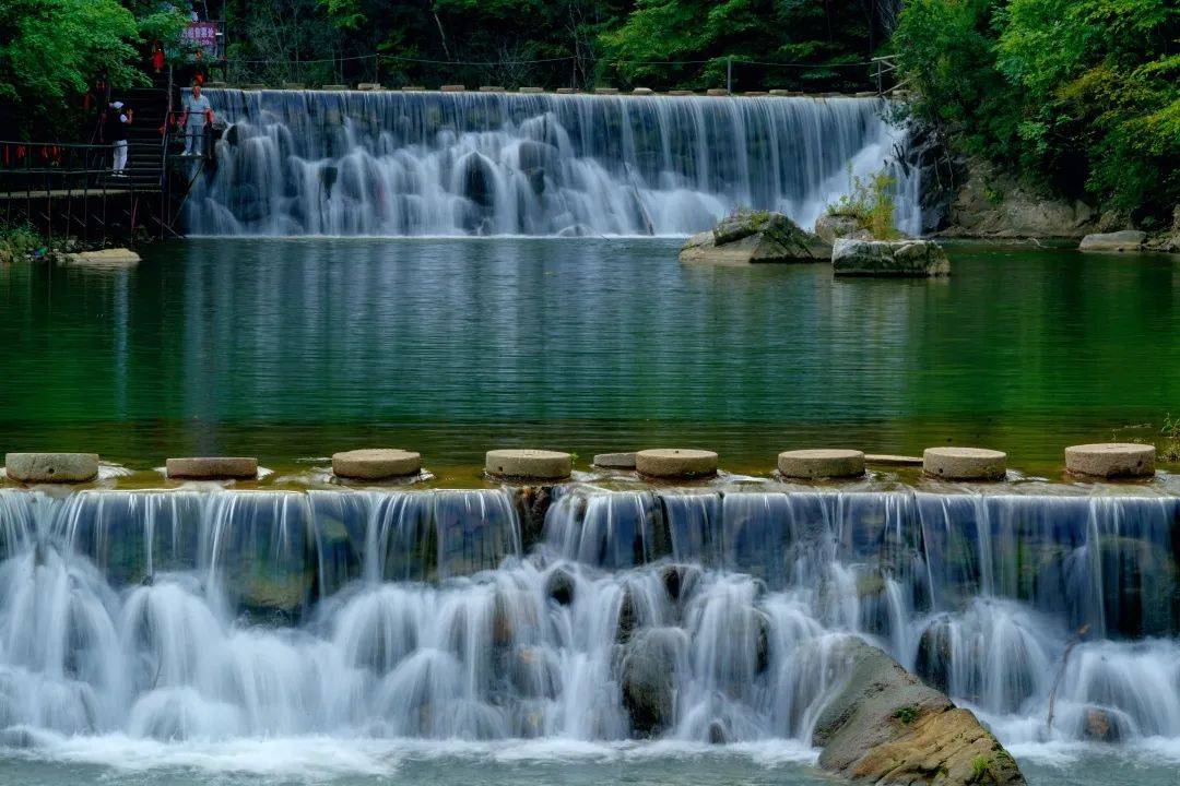 汤河水库附近多了踏春的苍鹭泰和园的桃花依旧绚烂赤麻鸭在太子河畔