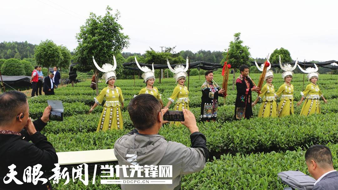 湄潭三新数字农业科技有限公司:把直播开在有机茶园里