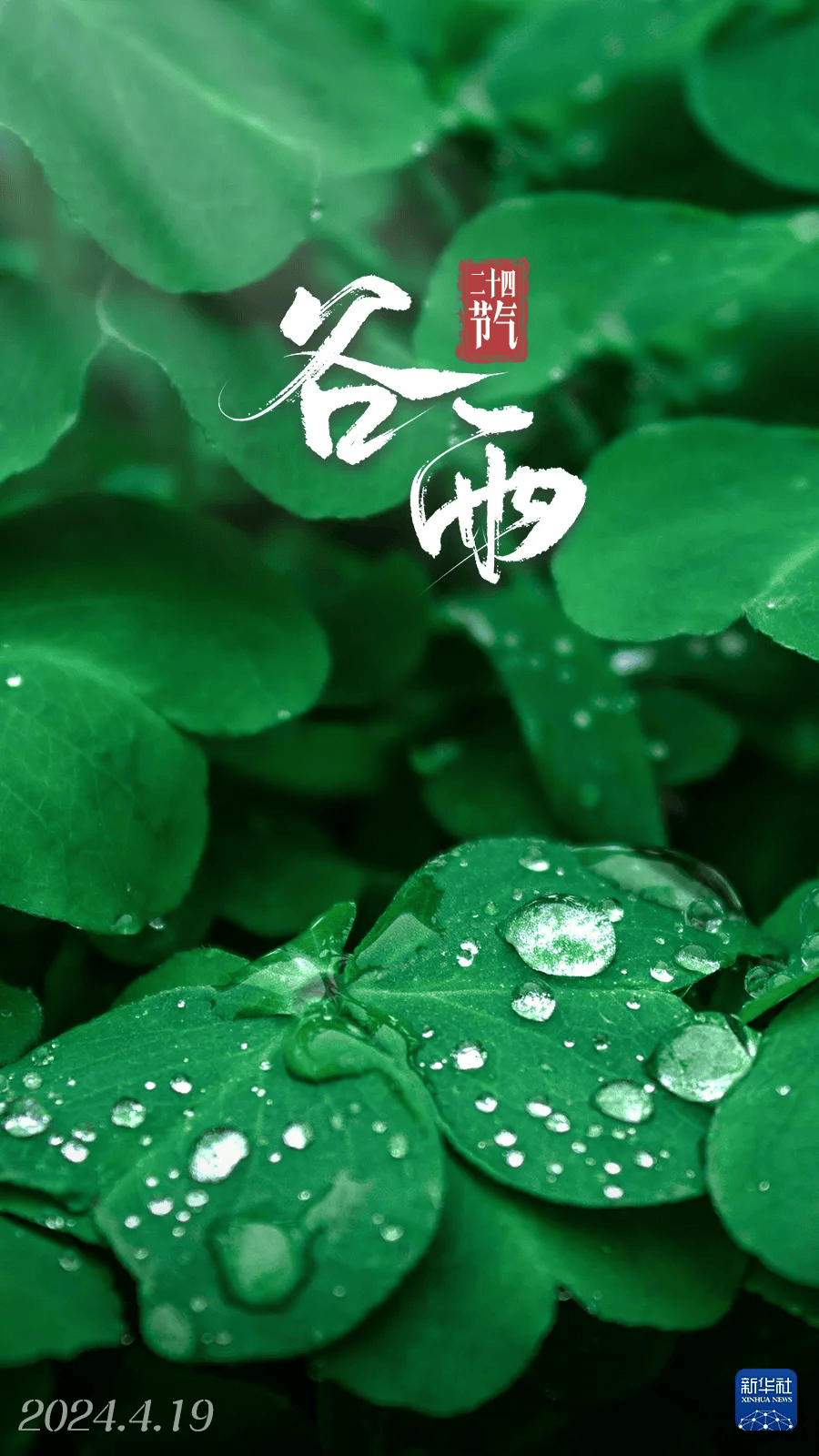 【传统文化】谷雨——细雨连绵暮春到,雨生百谷夏将至_万物_戴胜_图片