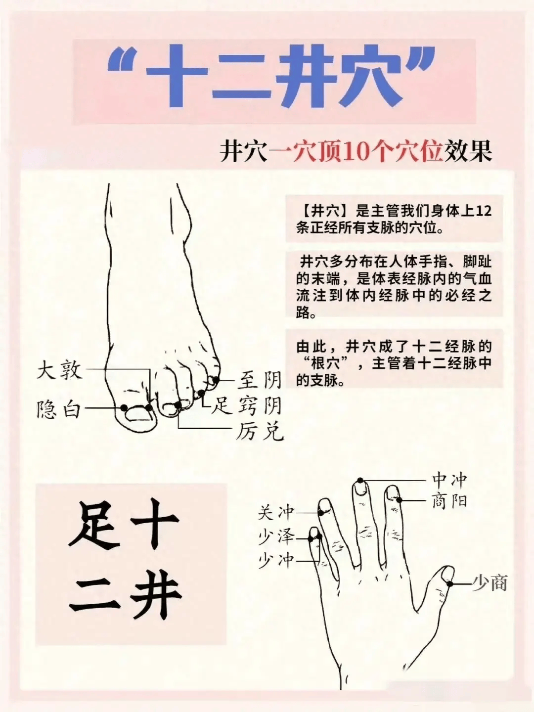 一穴顶十穴，人体的“十二井穴”，你知道哪几个？收藏起来吧！