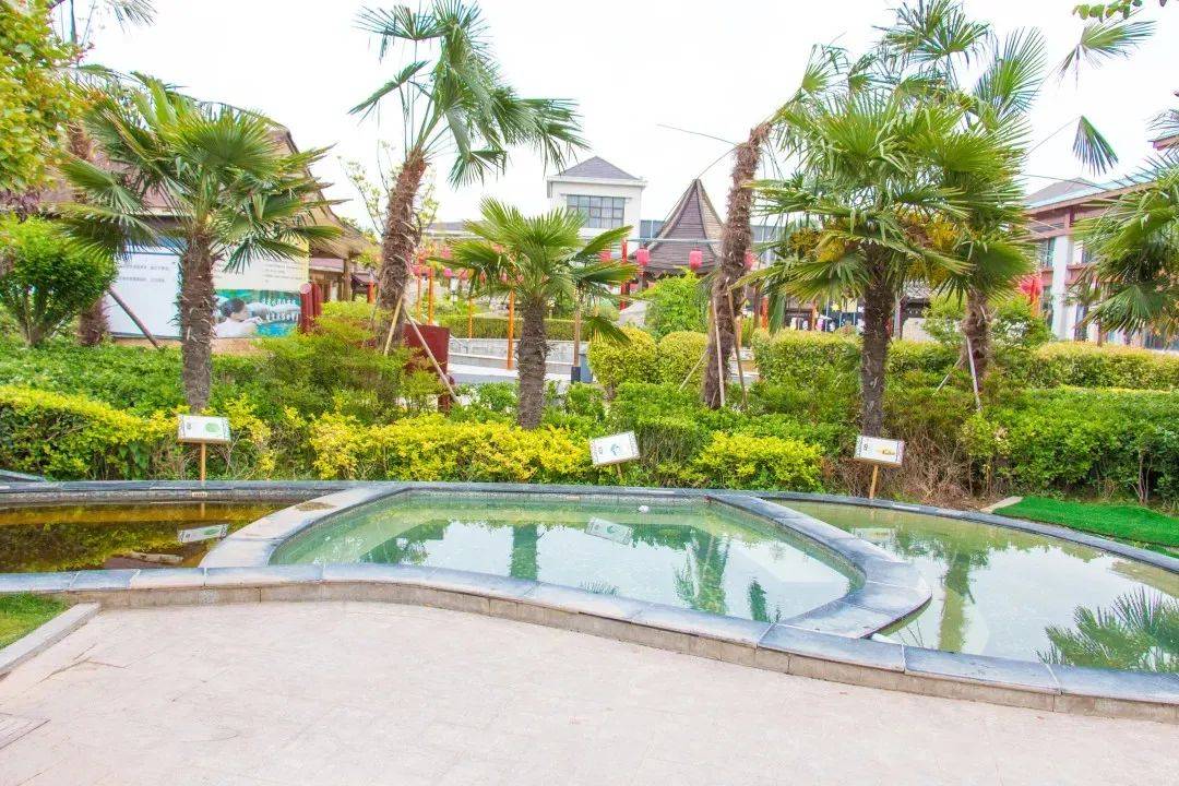 来鄢陵,就这样玩~_温泉_地址_旅游