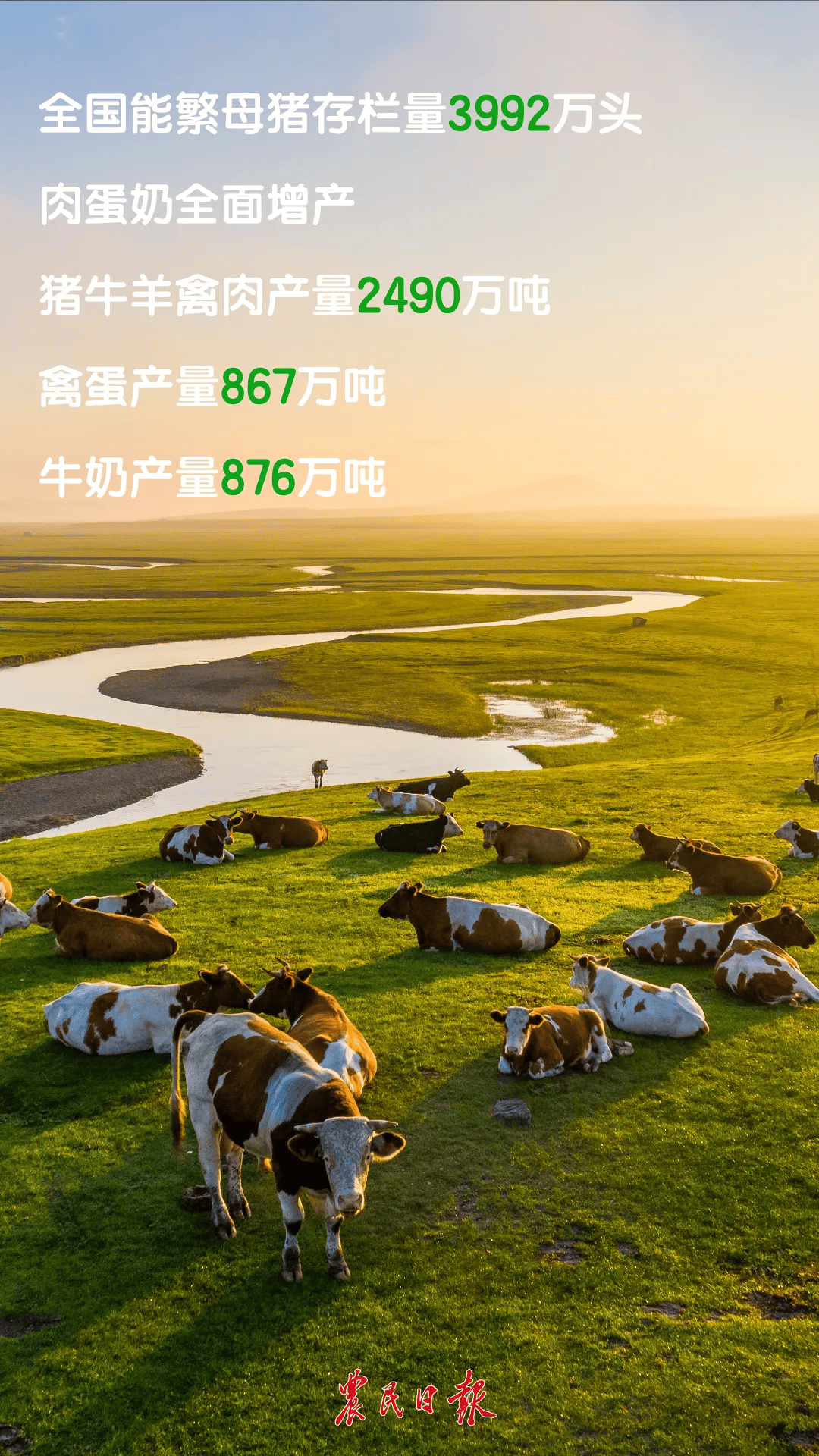 一季度农业农村经济运行情况如何?六图速览→_赵婧_发布会_来源