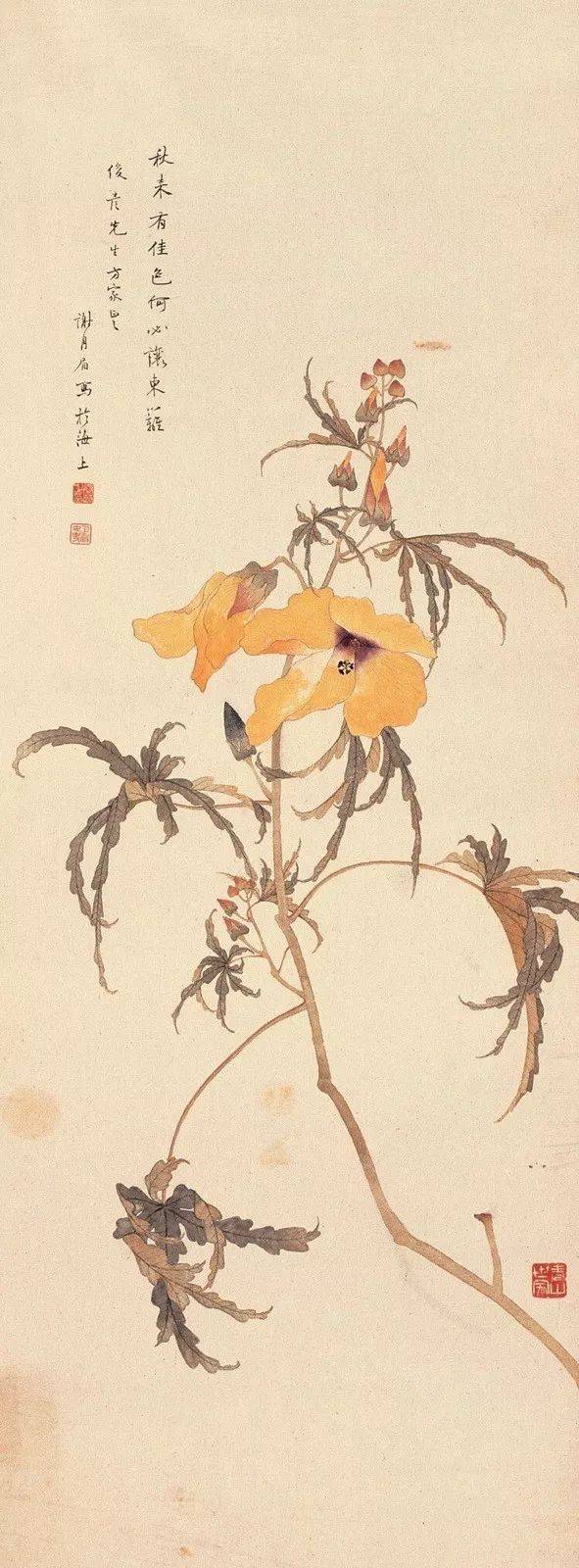 【国画天地】堪称"花鸟圣手"的她,全凭天赋和自学成名
