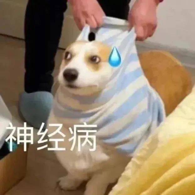 可可爱爱微信动态表情包!