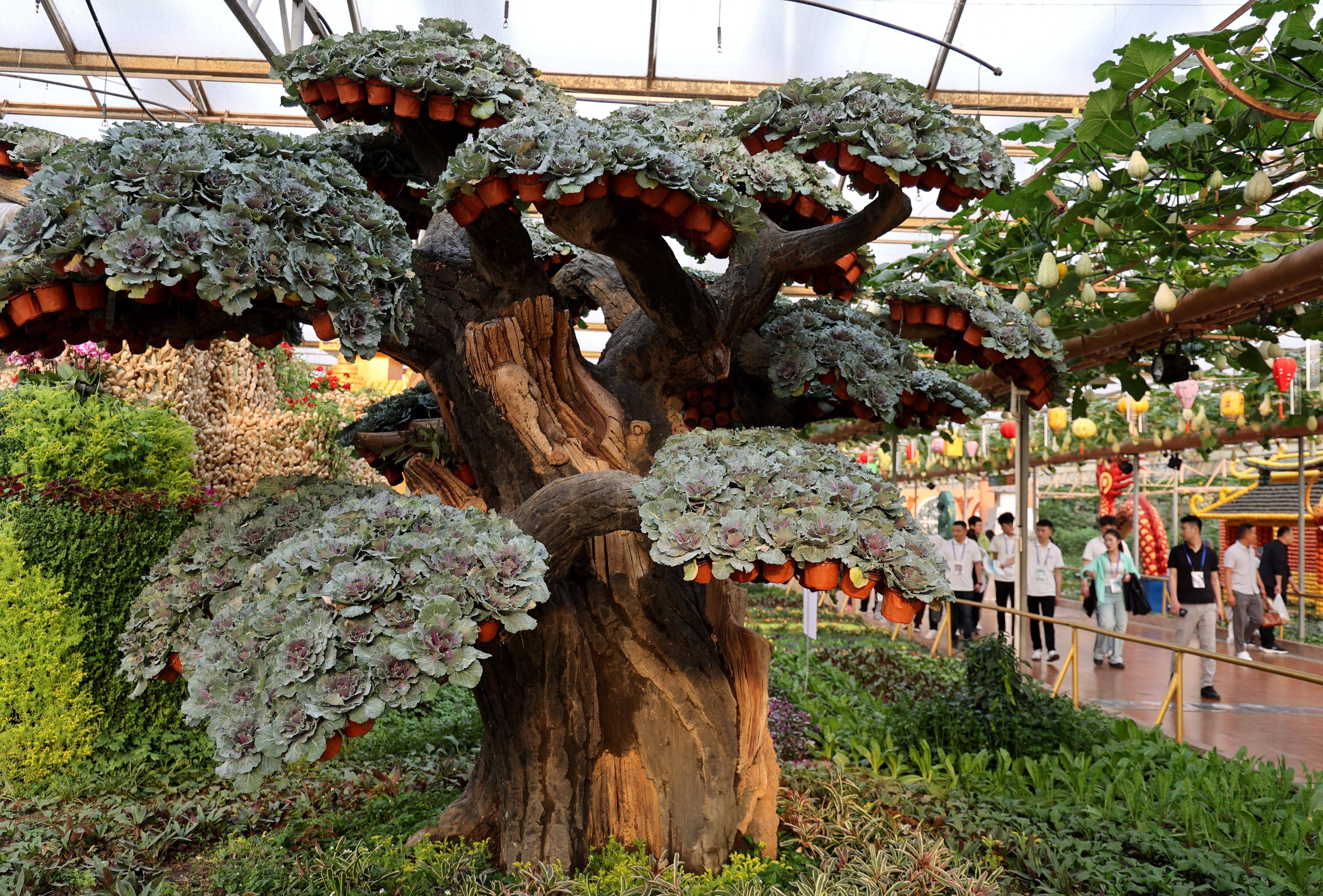 第二十五届中国(寿光)国际蔬菜科技博览会在山东潍坊举办