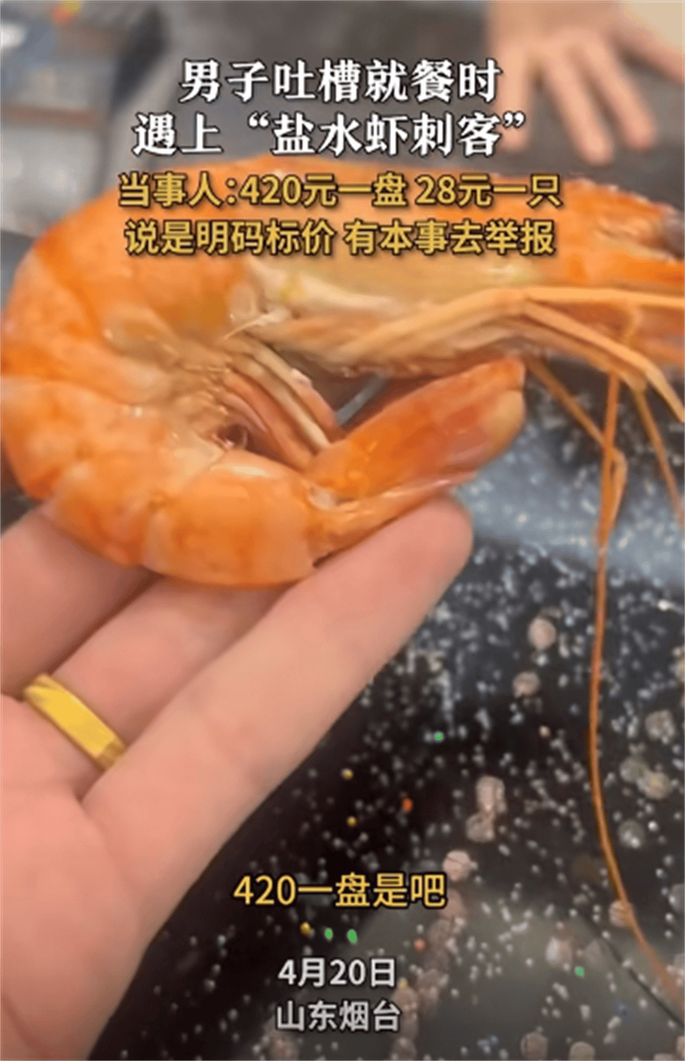离谱!山东再现28元一只天价大虾,顾客发文求助,店家态度太嚣张