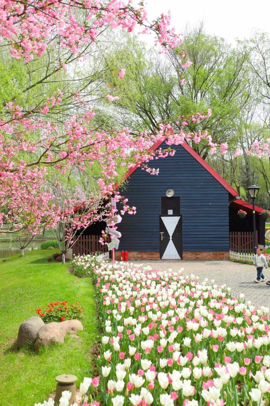 早安南京 | 在南京,体验"20分钟公园效应"_七桥_门票