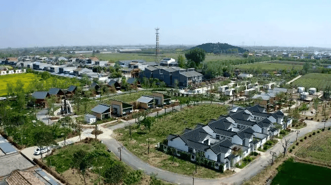 春潮涌动看杨陵 | 五泉:深耕"土特产" 拓宽振兴路