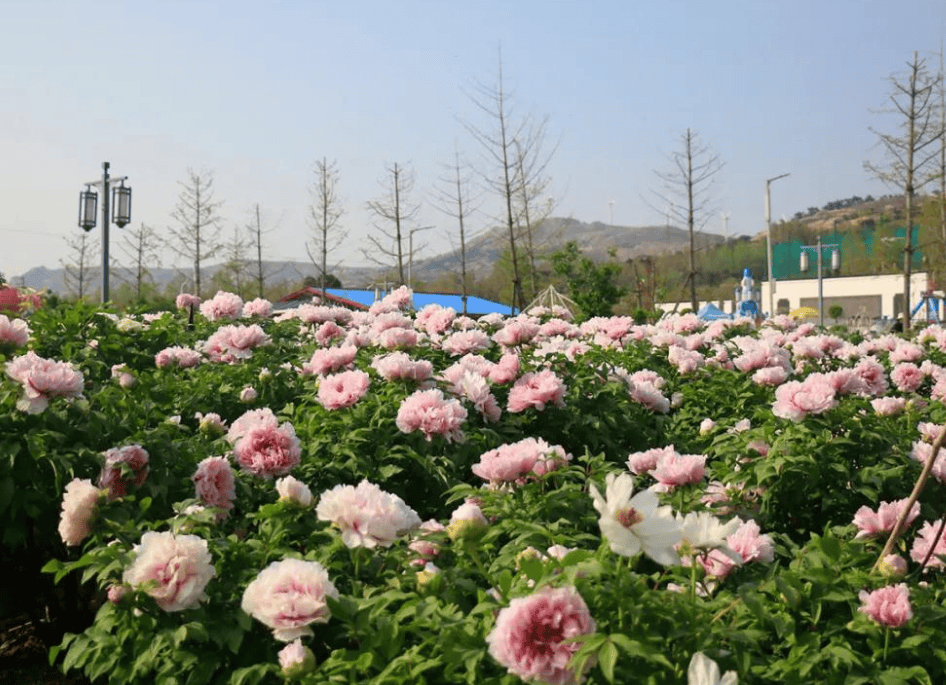 南阳市首家!方城这个乡村旅游项目通过省级验收!