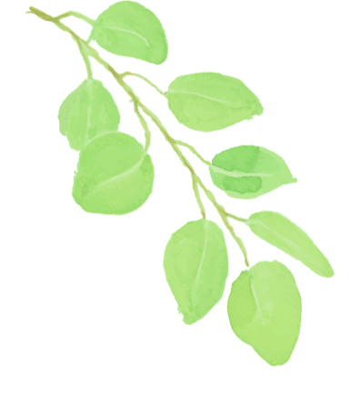 校园风采97丨鹿鸣小学:阅草木人间 创无限可能_万物_创节_年级