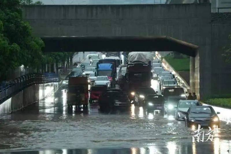 洪涝灾害期间,这些水千万别喝!出现不适速就医