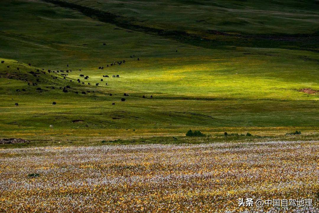 进藏线中的不败传奇,g318川藏南线自驾指南来了!