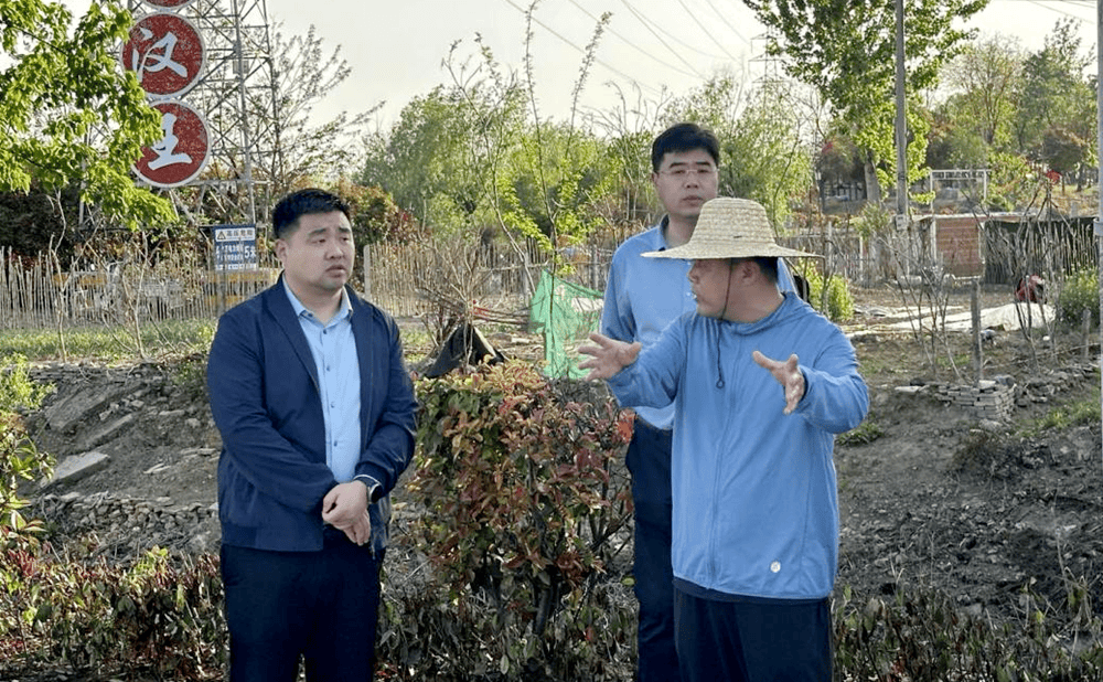 汉王镇4月19日,单集镇镇长韩向坤到贺庄片区查看高标准农田项目建设