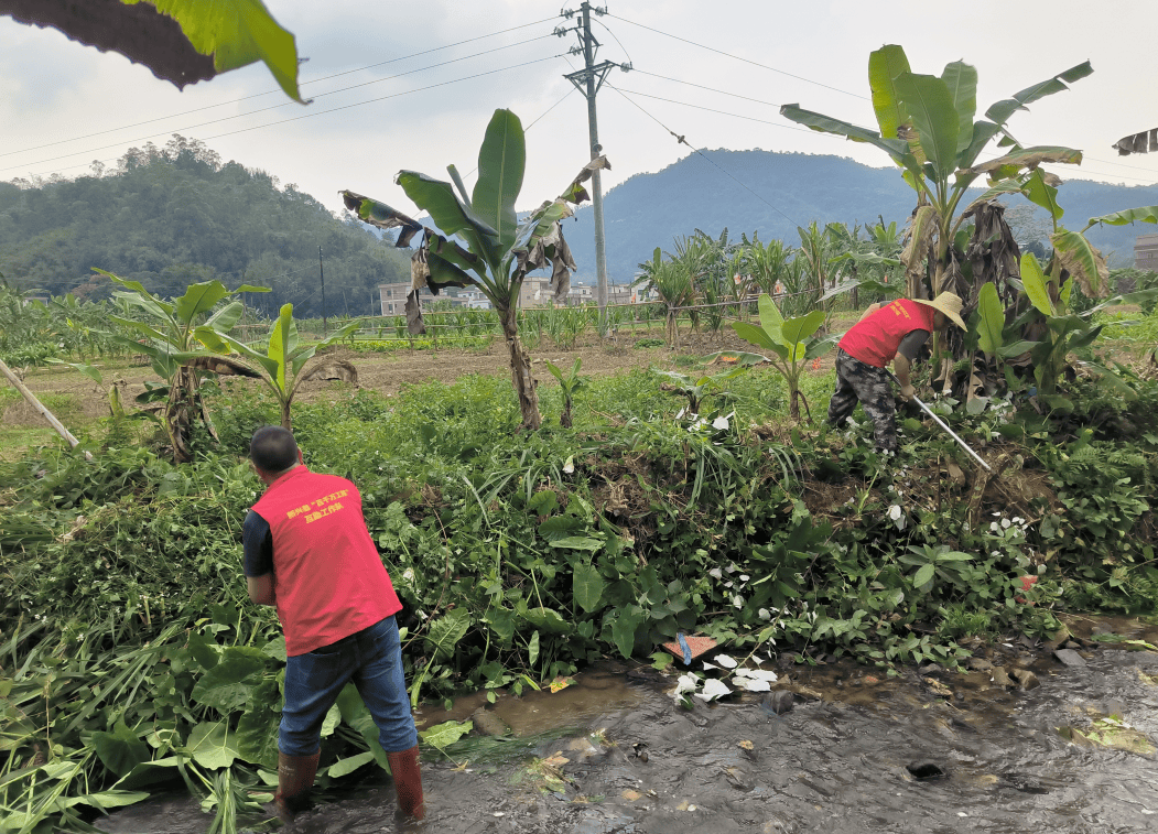 【聚焦"百千万工程"】新兴县河头镇:探索"123"工作法 建强"百千万工程