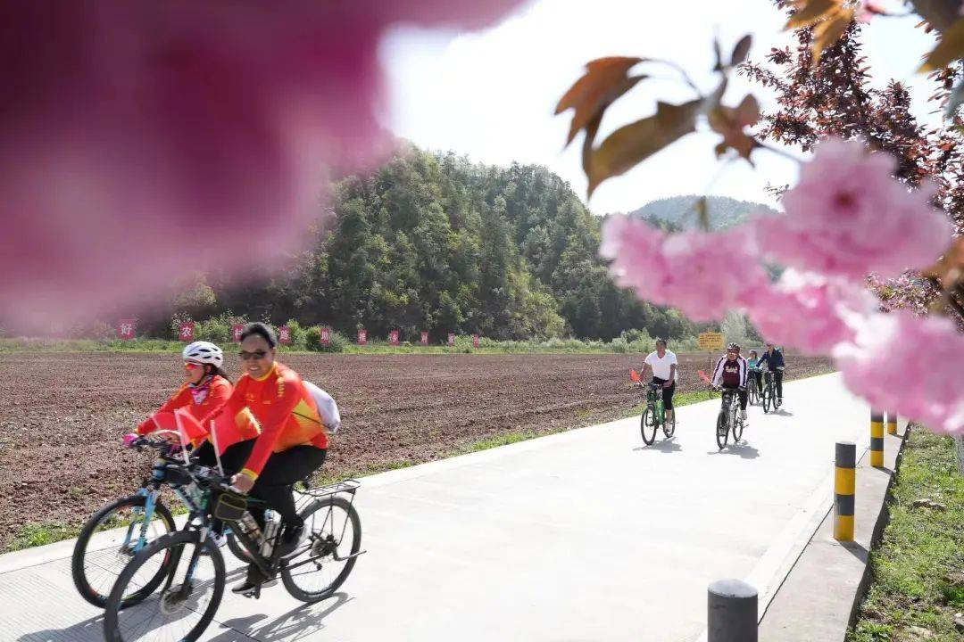 骑行吧!青春～_成县_活动_建设
