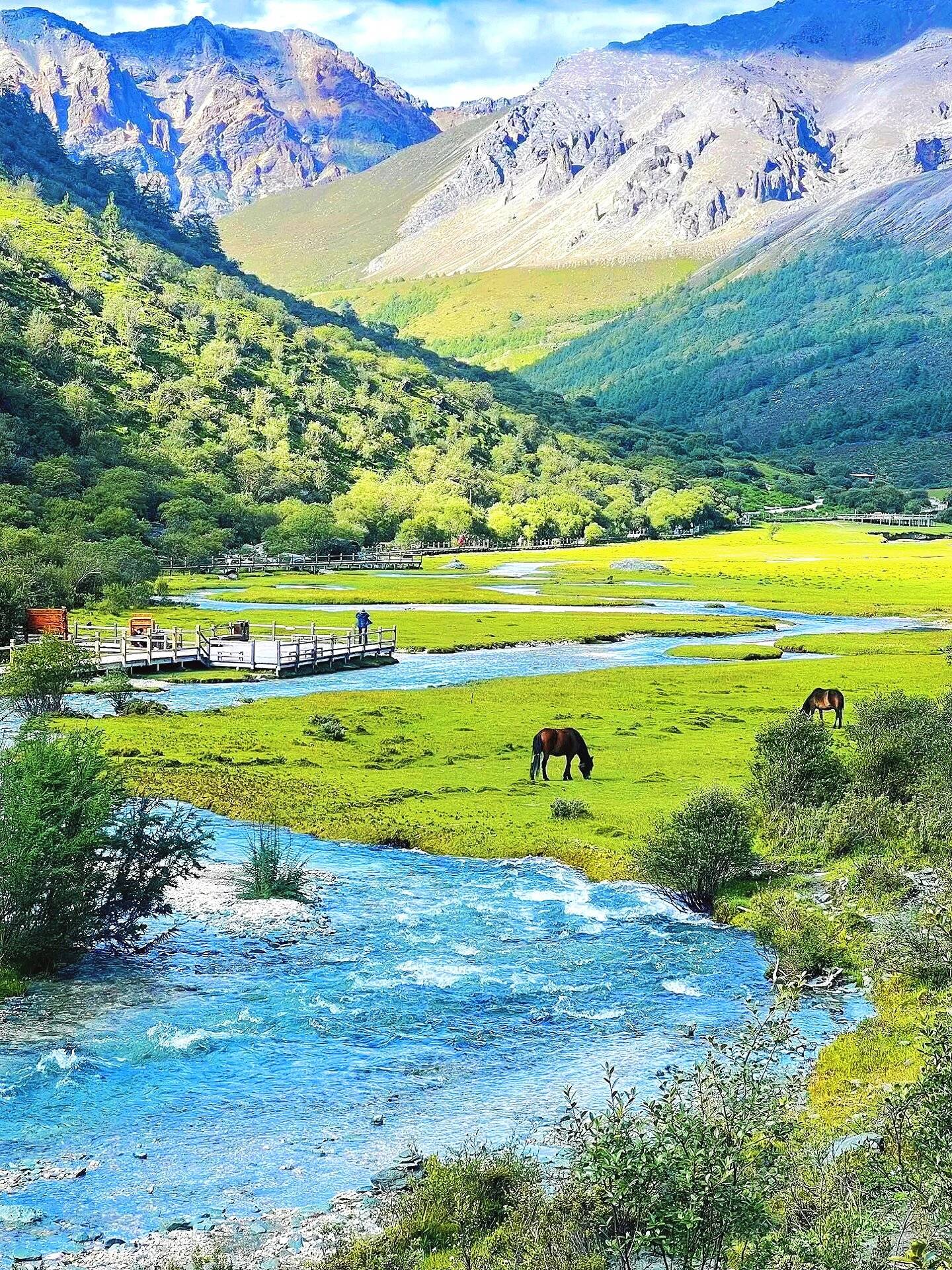 四川旅游攻略4天稻城亚丁 ,避雷不踩坑,不看后悔!_高原_成都_旅程