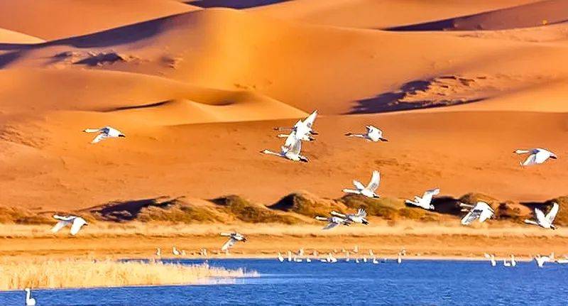 五一5天|徒个61腾格里穿越|北京户外大巴团の远征腾格里-五湖连穿