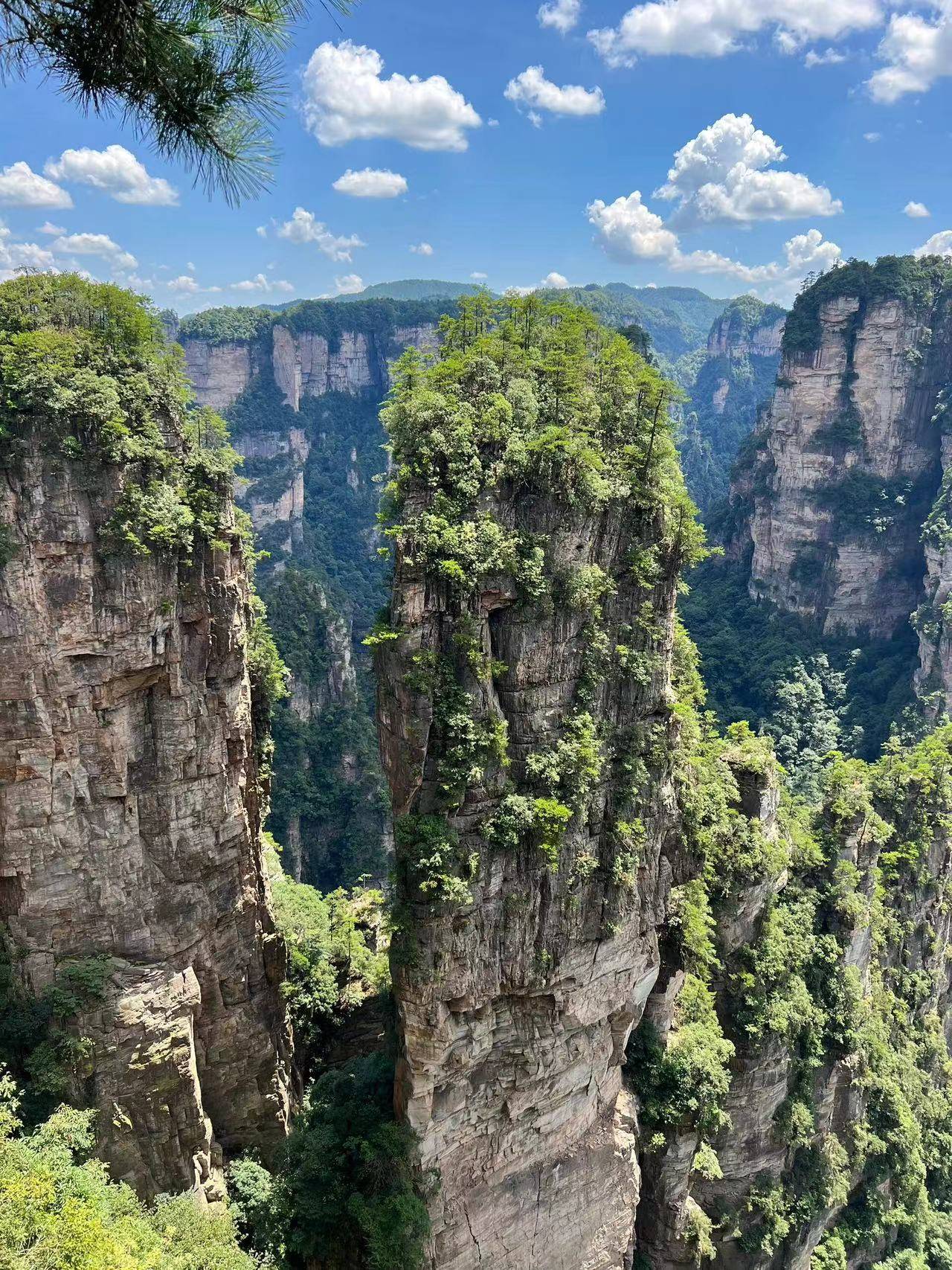 湖北旅游攻略张家界 ,谁懂啊!终于有人把旅游攻略讲明白了