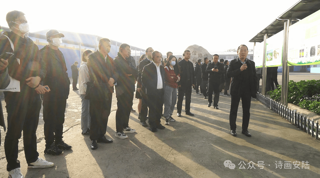 碧山涢水 质善质美_安陆市_质量_发展