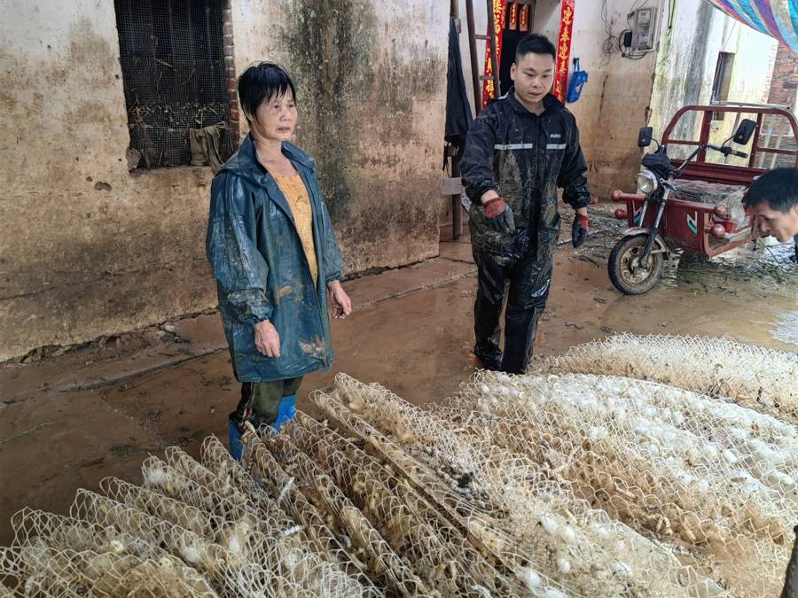 "提前"的暴雨,无能为力的小农