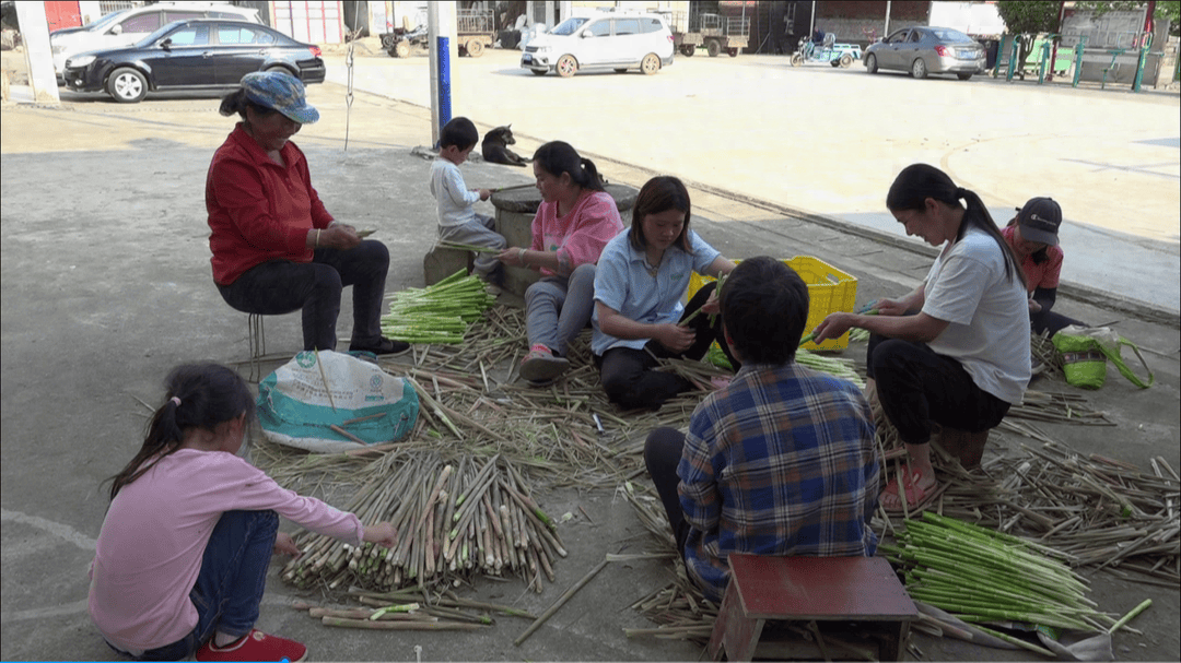 然而,长期以来,村民们一直采用传统的"自发采挖,自然晾晒,自找销路"