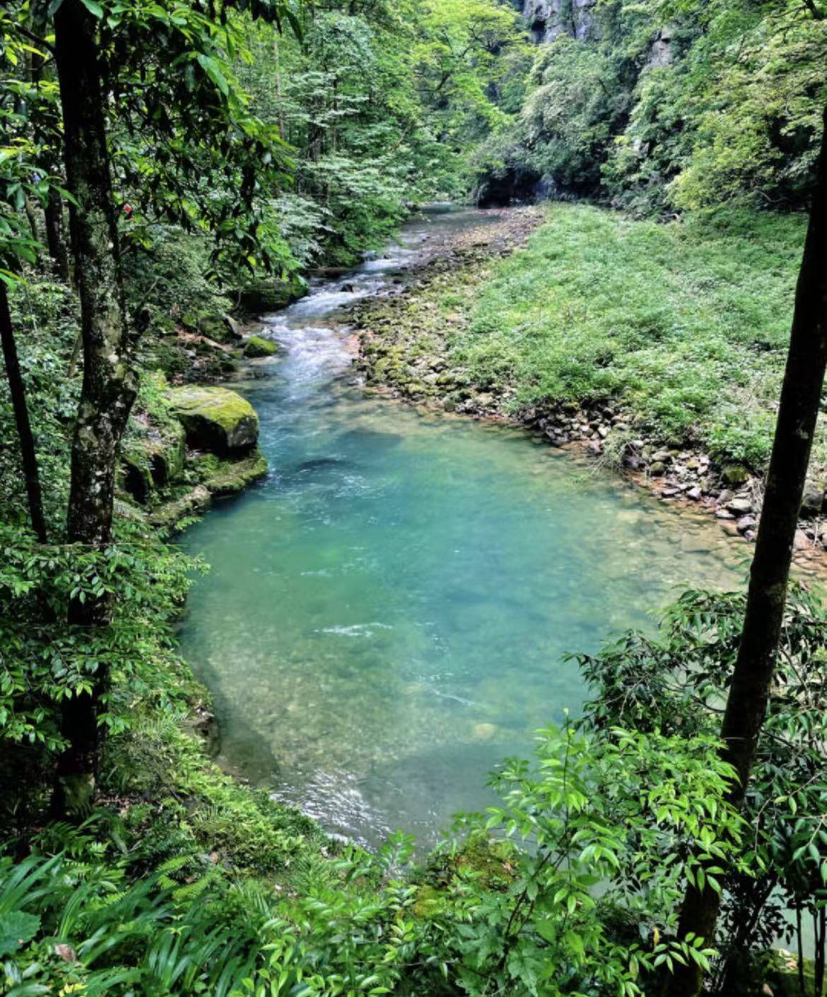 张家界全旅游攻略 ,必打卡路线不绕路不绕弯15_天门_旅行_自然