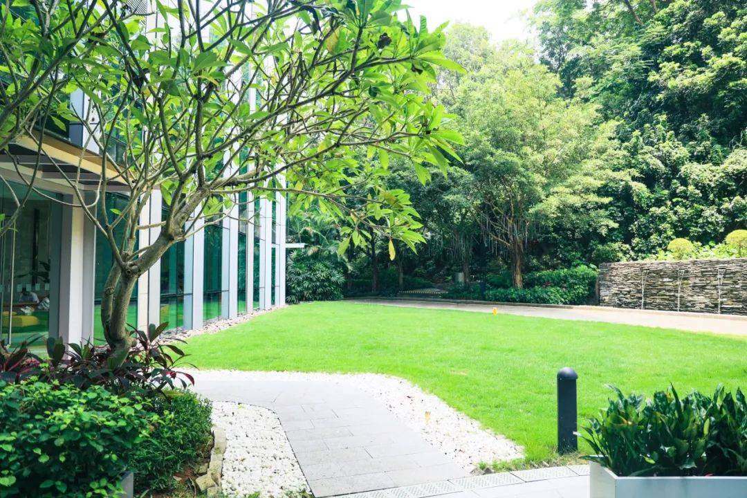 像被包裹在森林里,负氧离子满满~环境很新,青山绿水非常养眼!