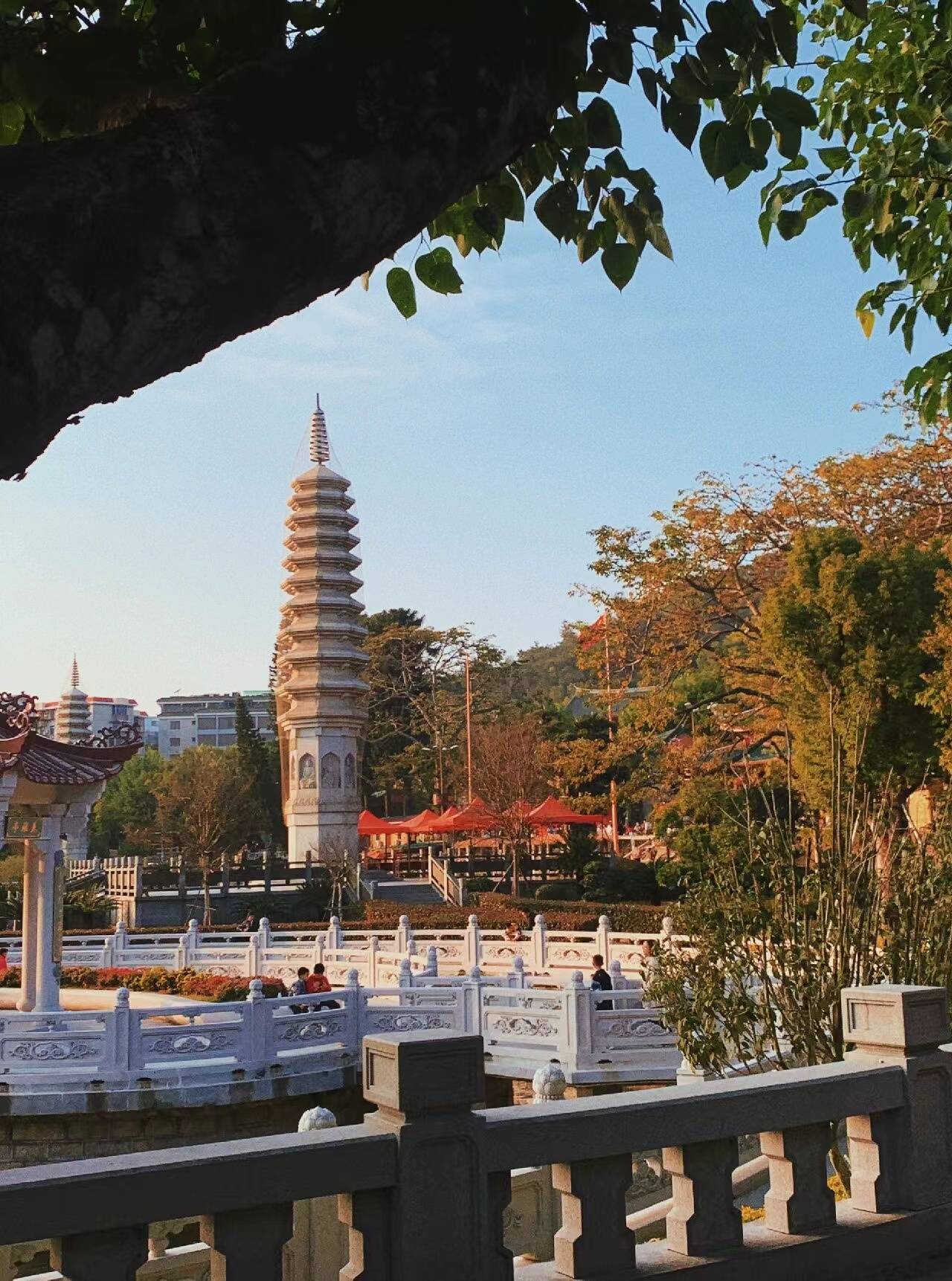 定州到厦门旅游攻略 ,请先手下这份游玩攻略