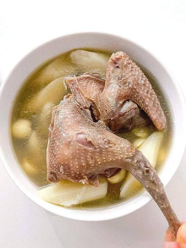 一鸽胜九鸡,4道鸽子汤别错过,健脾养胃补气血,清甜好喝不油腻