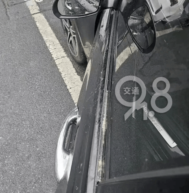 杭州姑娘正要开车出门,被这一幕惊呆!网友:吃不下饭了.(有画面,慎点!