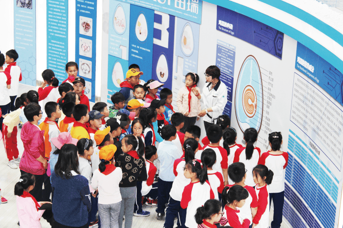 【企业风采】田瑞科技:养殖15万只蛋鸡 只需一个人