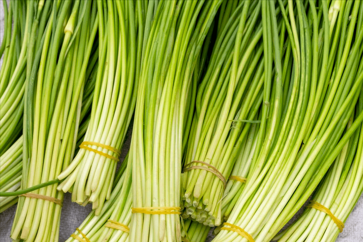 腌蒜苔,只加盐杀水是大错,教你1招,更爽脆更入味,放半年不坏