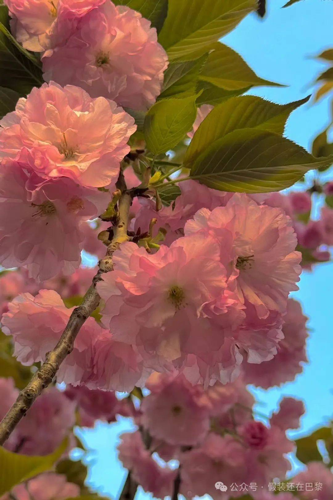 拾言丨人最大的动力除了兴趣,就是耻辱。_鲁佳_批判_全是