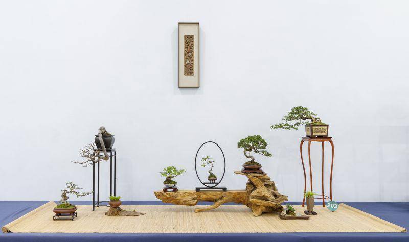 可以想象一下这样的场景:一盆造型独特的盆景,旁边摆放着一件古朴